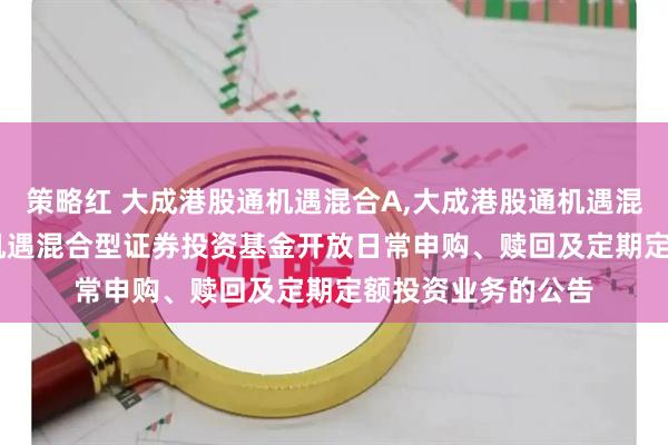 策略红 大成港股通机遇混合A,大成港股通机遇混合C: 大成港股通机遇混合型证券投资基金开放日常申购、赎回及定期定额投资业务的公告