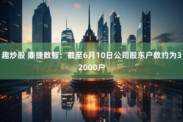 趣炒股 鼎捷数智：截至6月10日公司股东户数约为32000户