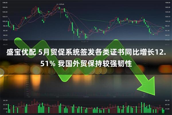 盛宝优配 5月贸促系统签发各类证书同比增长12.51% 我国外贸保持较强韧性
