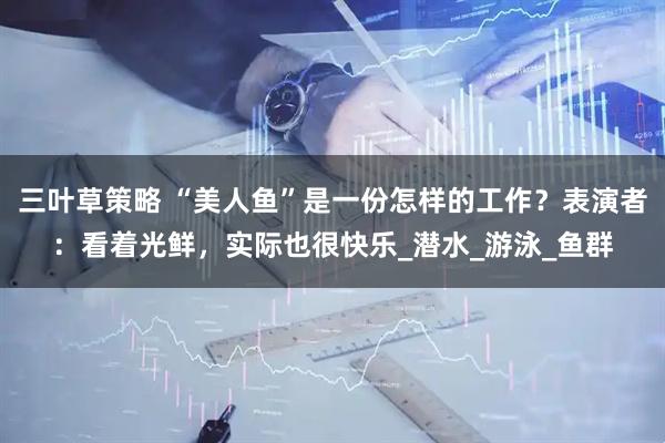 三叶草策略 “美人鱼”是一份怎样的工作？表演者：看着光鲜，实际也很快乐_潜水_游泳_鱼群