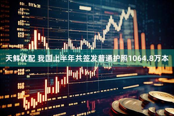 天鲜优配 我国上半年共签发普通护照1064.8万本