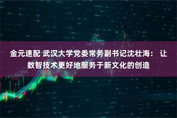 金元速配 武汉大学党委常务副书记沈壮海： 让数智技术更好地服务于新文化的创造