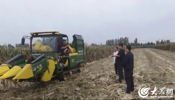 永隆配资 聊城经济开发区蒋官屯街道：三维发力战阴雨 全链护航秋粮归仓