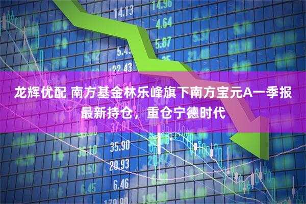 龙辉优配 南方基金林乐峰旗下南方宝元A一季报最新持仓，重仓宁德时代
