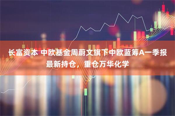 长富资本 中欧基金周蔚文旗下中欧蓝筹A一季报最新持仓，重仓万华化学